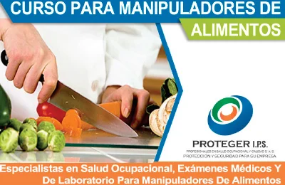 manipulacion de alimentos