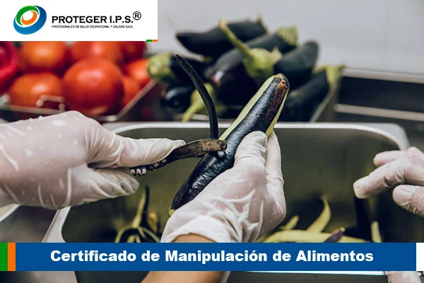 Certificado de Manipulación de Alimentos