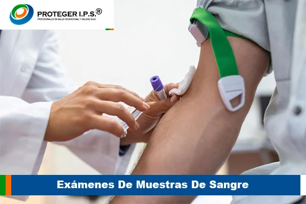 exámenes de muestras de sangre