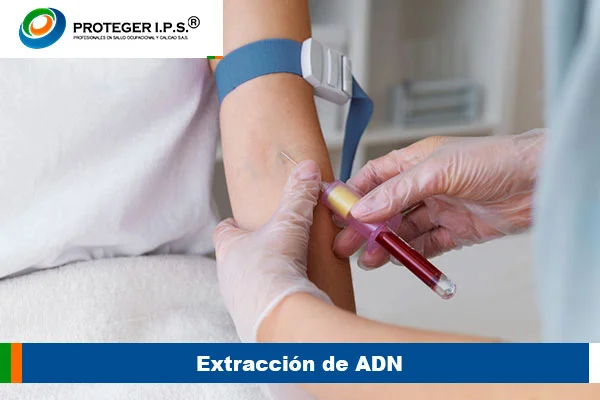 Extracción de ADN