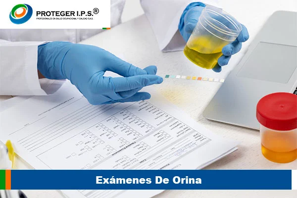 exámenes de orina