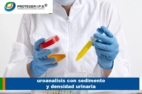 uroanalisis con sedimento y densidad urinaria