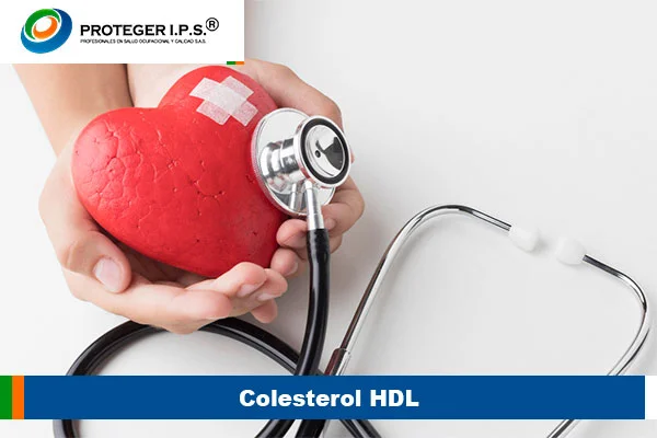 Colesterol HDL