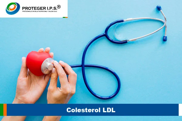 Colesterol LDL