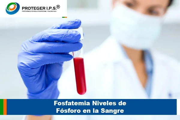 Fosfatemia Niveles de Fósforo en la Sangre