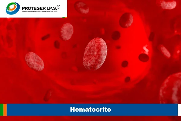 Hematocrito