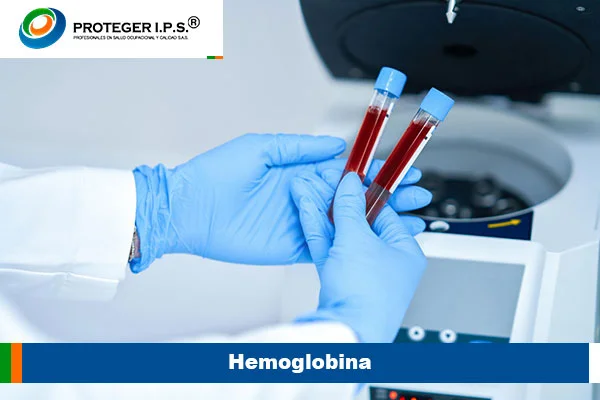 Hemoglobina