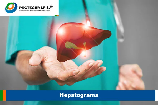 Hepatograma