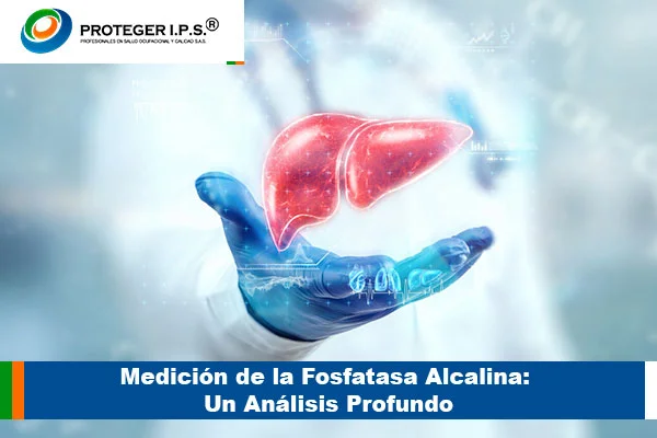 Medición de la Fosfatasa Alcalina: Un Análisis Profundo