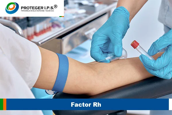 Factor RH