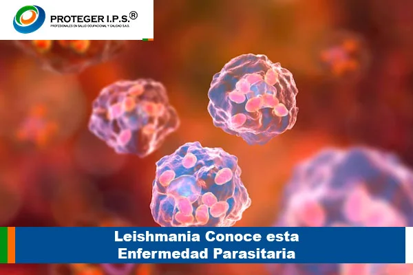 Leishmania