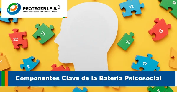 Componentes Clave de la Batería Psicosocial