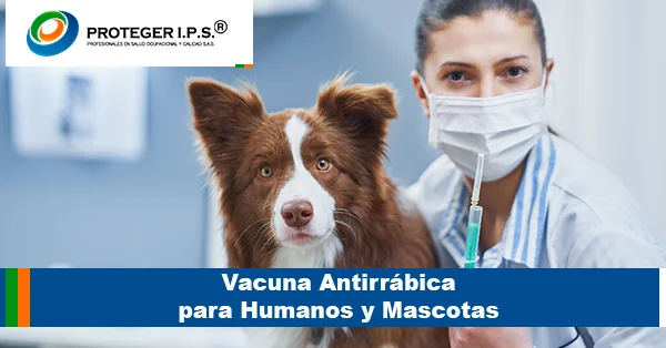 Vacuna Antirrábica para Humanos y Mascotas