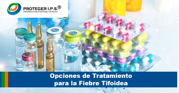 Opciones de Tratamiento para la Fiebre Tifoidea