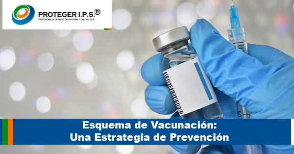 Esquema de Vacunacion Una Estrategia de Prevencion