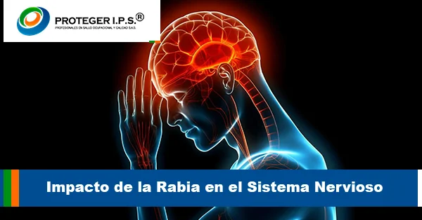 mpacto de la Rabia en el Sistema Nervioso