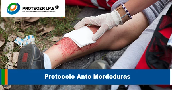 Protocolo Ante Mordeduras