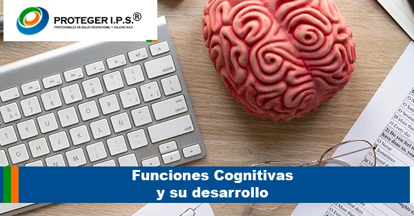 Funciones Cognitivas y su desarrollo