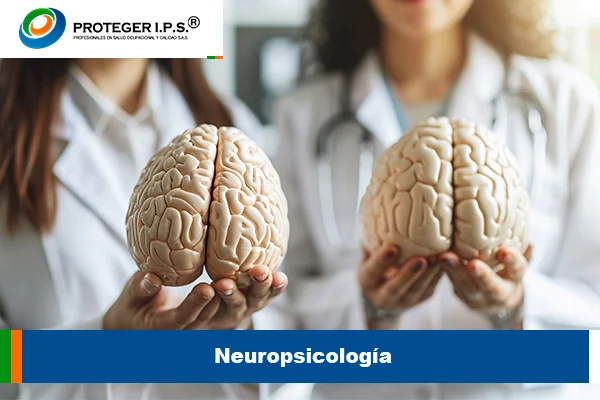 neuropsicología