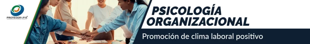 psicologia organizacional