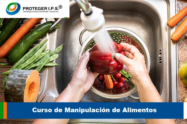 Curso de Manipulación de Alimentos