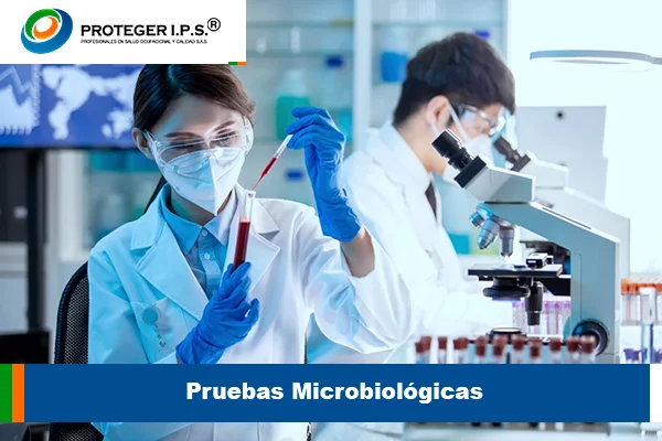 Pruebas Microbiológicas