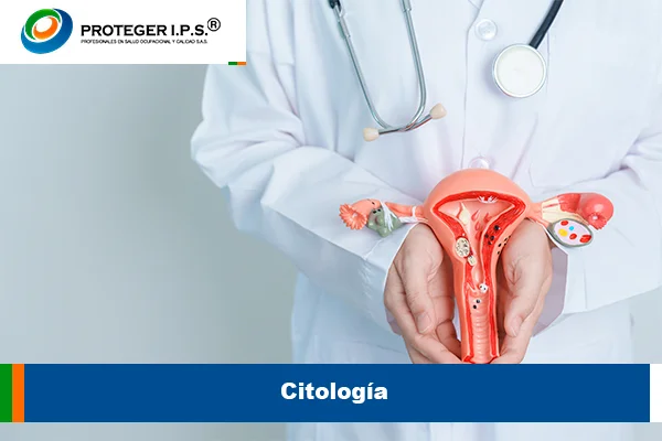 citologia-1