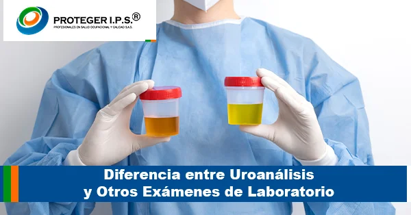 Diferencia entre Uroanálisis y Otros Exámenes de Laboratorio