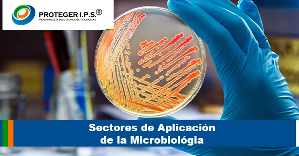 sectores pruebas microbiológicas