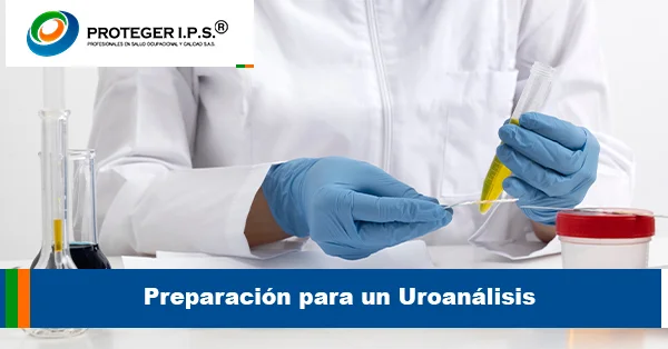 Preparación para un Uroanálisis