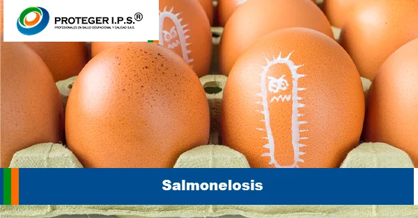 Salmonelosis