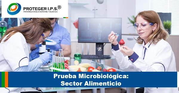 Sector alimenticio