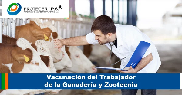 Vacunación del Trabajador de la Ganaderia