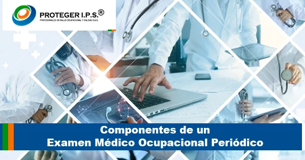 Componentes de un Examen Médico Ocupacional Periódico