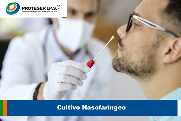 Cultivo Nasofaríngeo