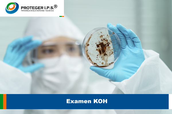 Examen KOH