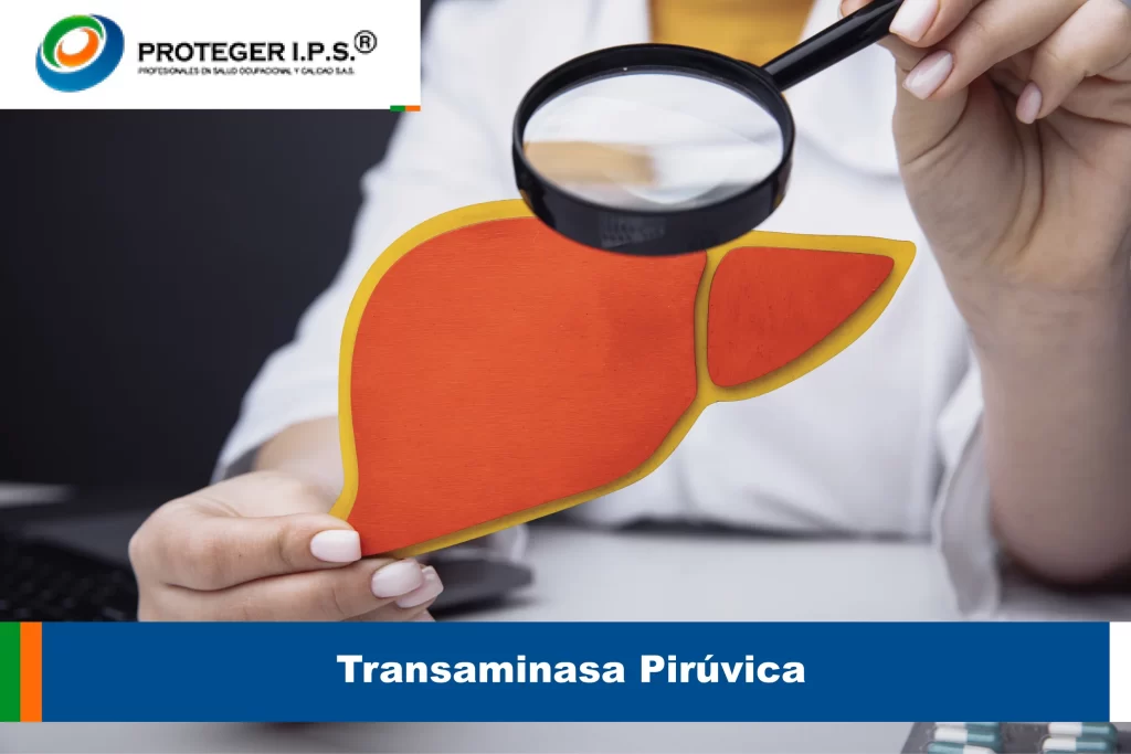 Transaminasa Pirúvica