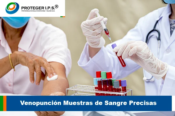 Venopunción Muestras de Sangre Precisas