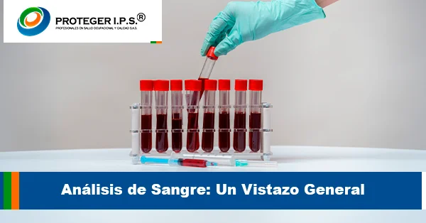 Análisis de Sangre Un Vistazo General