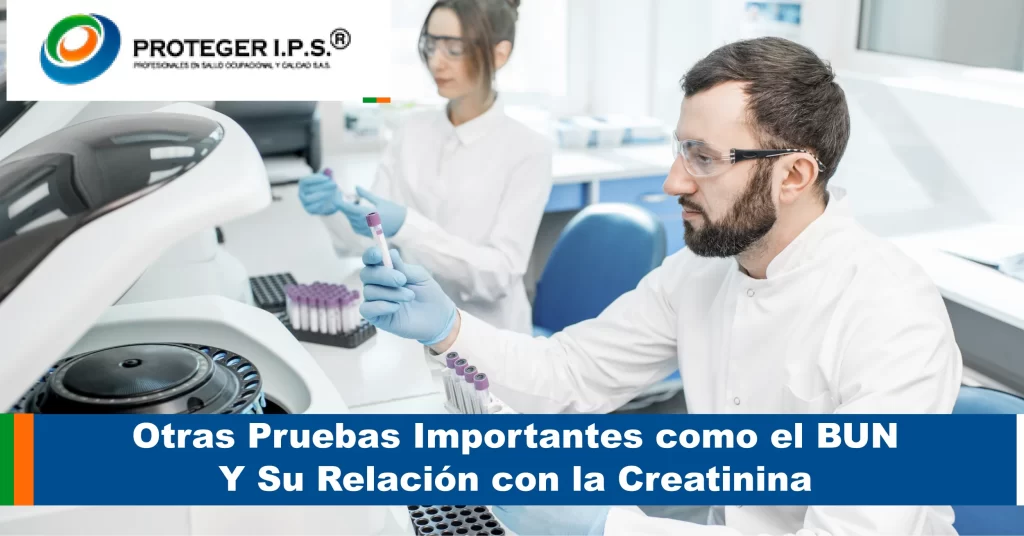 Otras pruebas importantes como el BUN y su relación con la creatinina