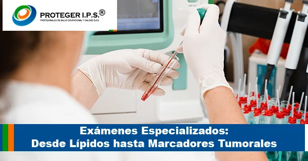 Exámenes Especializados Desde Lípidos hasta Marcadores Tumorales