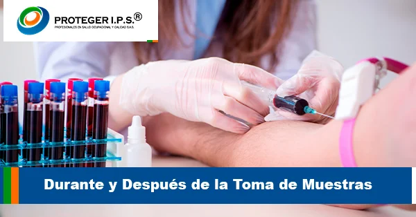 Durante y Después de la Toma de Muestras