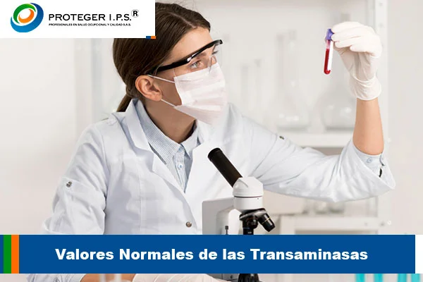 valores de transaminasas