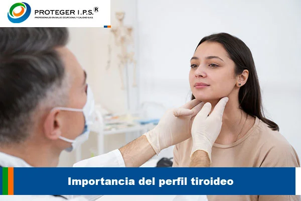 Importancia del perfil tiroideo