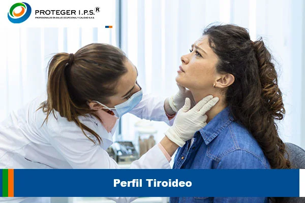 perfil tiroideo