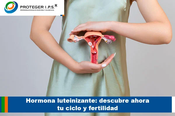 Hormona luteinizante