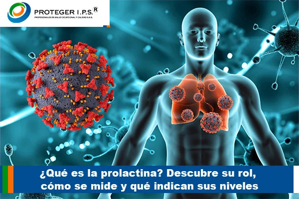 PROLACTINA