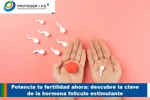 hormona foliculo estimulante