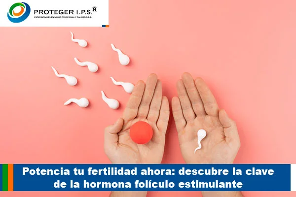 hormona foliculo estimulante