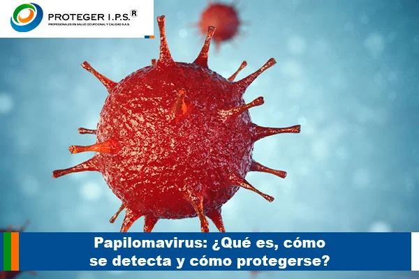 papilomavirus